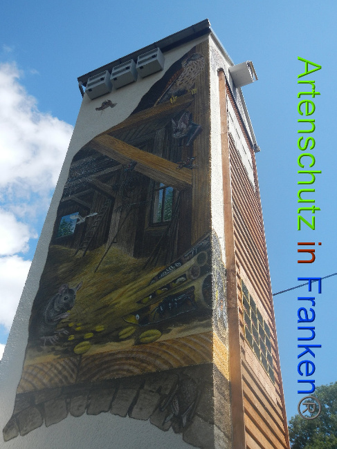 © Artenschutz in Franken® Bild zum Eintrag (1010729-160)