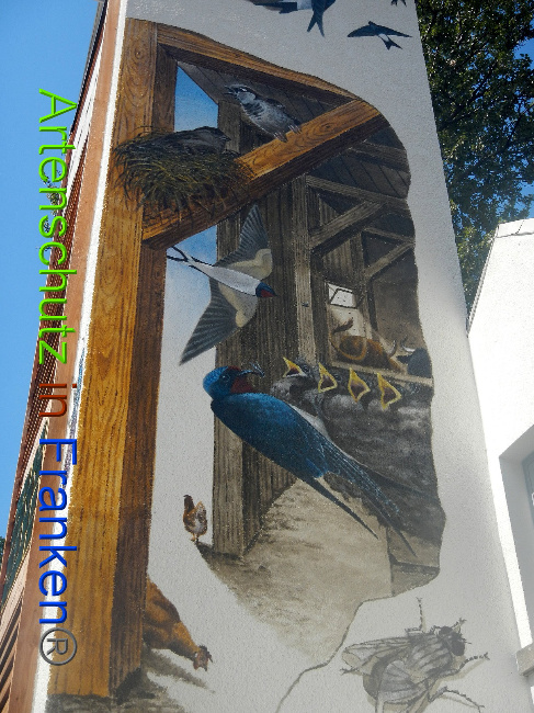 © Artenschutz in Franken® Bild zum Eintrag (1010731-160)