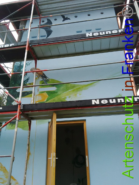 © Artenschutz in Franken® Bild zum Eintrag (1010771-160)