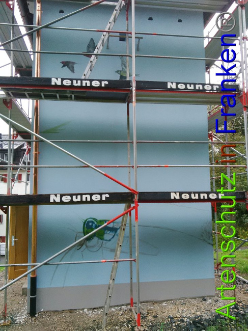 © Artenschutz in Franken® Bild zum Eintrag (1010779-160)