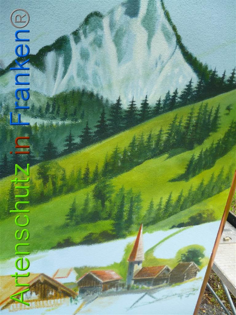 © Artenschutz in Franken® Bild zum Eintrag (1010825-160)