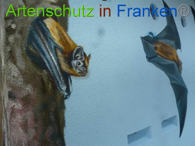 © Artenschutz in Franken® Bild zum Eintrag (1010831-160)
