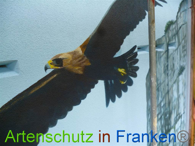 © Artenschutz in Franken® Bild zum Eintrag (1010832-160)