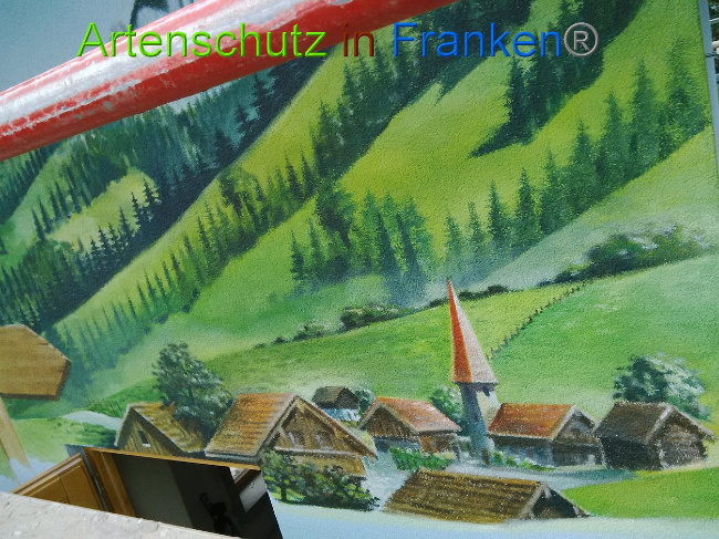 © Artenschutz in Franken® Bild zum Eintrag (1010865-160)