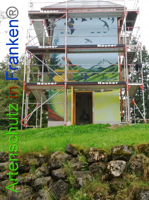 © Artenschutz in Franken® Bild zum Eintrag (1010921-160)
