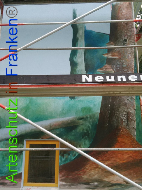 © Artenschutz in Franken® Bild zum Eintrag (1010925-160)