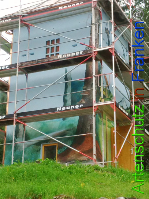 © Artenschutz in Franken® Bild zum Eintrag (1010926-160)