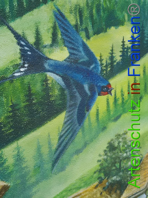 © Artenschutz in Franken® Bild zum Eintrag (1010930-160)