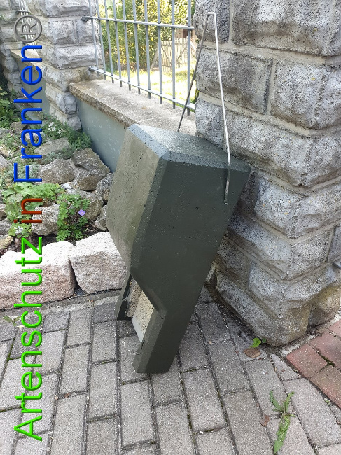 © Artenschutz in Franken® Bild zum Eintrag (1010958-160)