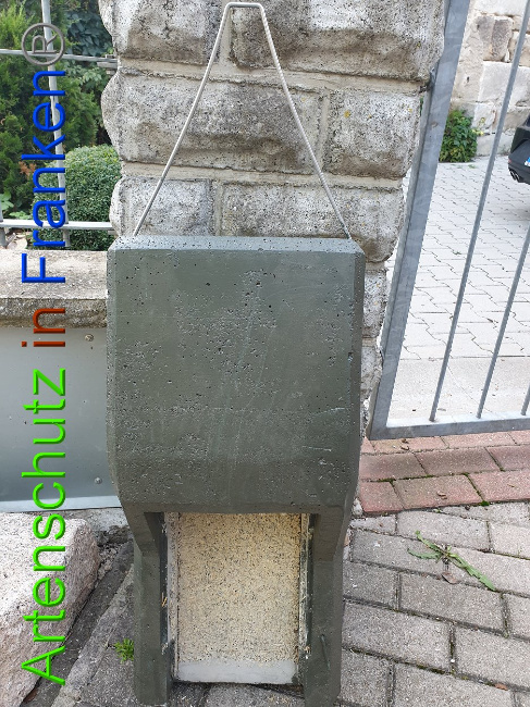 © Artenschutz in Franken® Bild zum Eintrag (1010960-160)