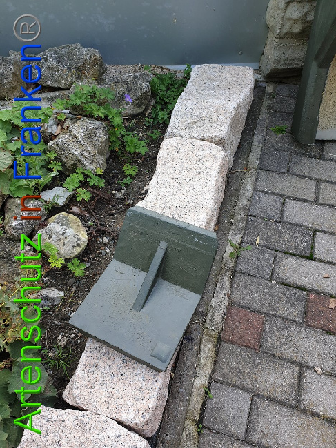 © Artenschutz in Franken® Bild zum Eintrag (1010962-160)