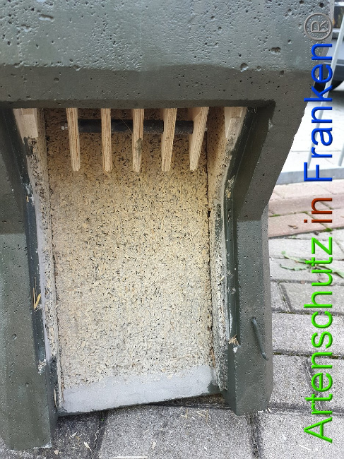 © Artenschutz in Franken® Bild zum Eintrag (1010964-160)