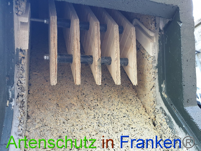 © Artenschutz in Franken® Bild zum Eintrag (1010965-160)