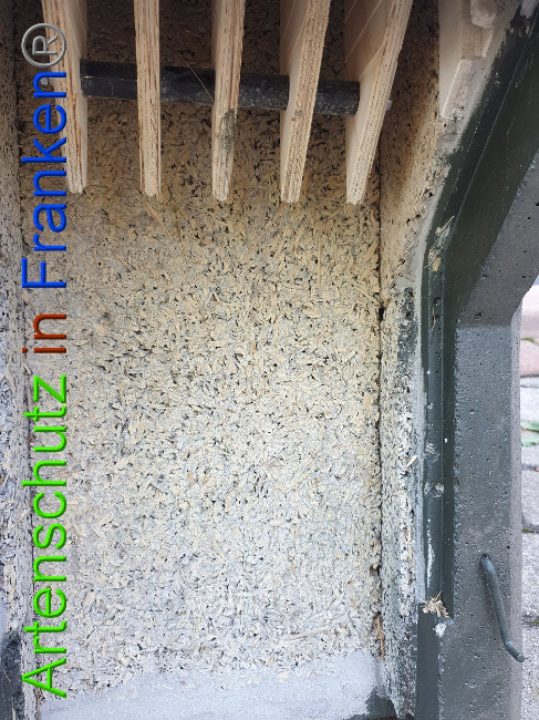 © Artenschutz in Franken® Bild zum Eintrag (1010966-160)