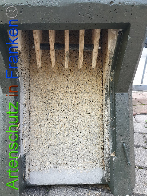 © Artenschutz in Franken® Bild zum Eintrag (1010967-160)
