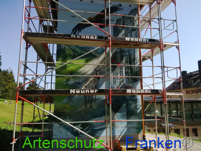 © Artenschutz in Franken® Bild zum Eintrag (1011142-160)