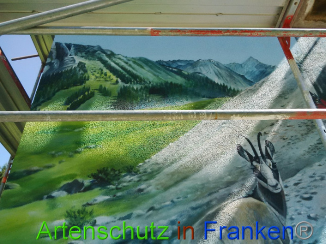 © Artenschutz in Franken® Bild zum Eintrag (1011146-160)