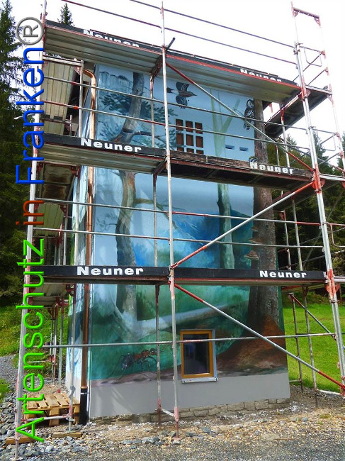 © Artenschutz in Franken® Bild zum Eintrag (1011246-160)