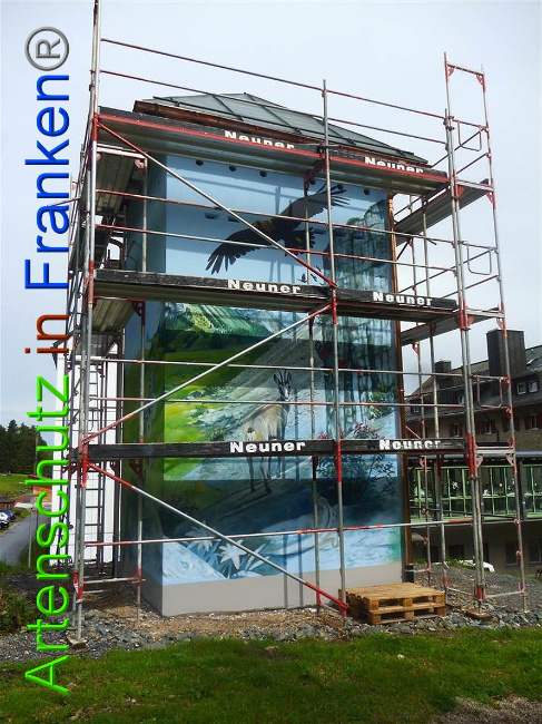 © Artenschutz in Franken® Bild zum Eintrag (1011247-160)
