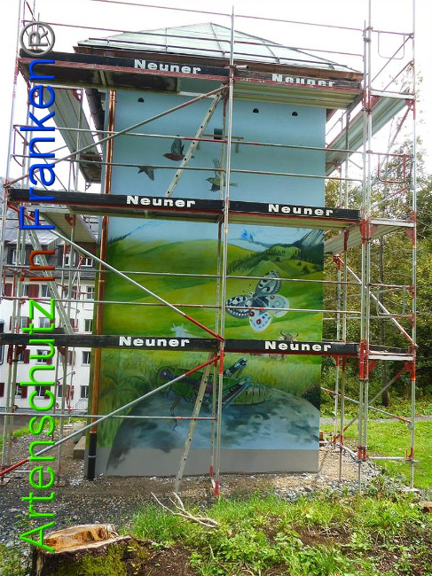 © Artenschutz in Franken® Bild zum Eintrag (1011248-160)