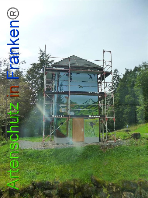 © Artenschutz in Franken® Bild zum Eintrag (1011249-160)
