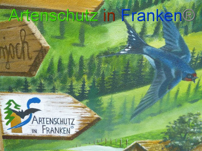 © Artenschutz in Franken® Bild zum Eintrag (1011278-160)