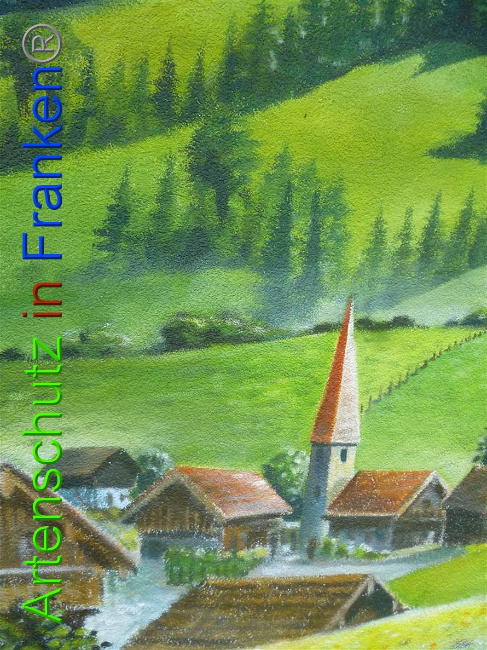 © Artenschutz in Franken® Bild zum Eintrag (1011282-160)