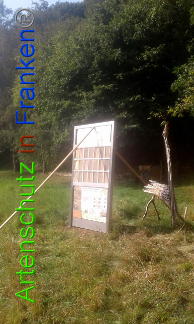 © Artenschutz in Franken® Bild zum Eintrag (1011360-160)
