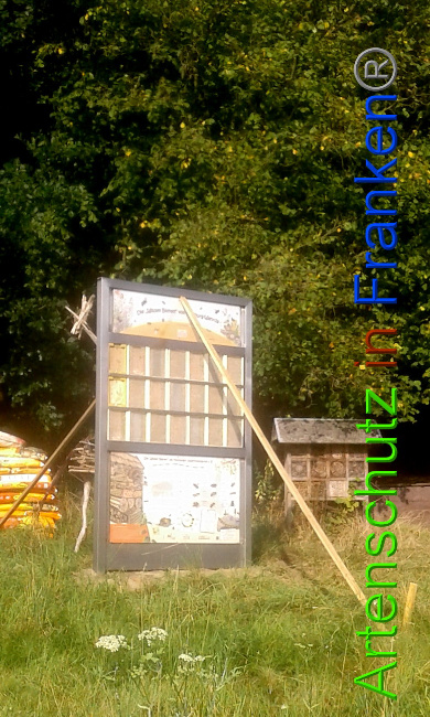 © Artenschutz in Franken® Bild zum Eintrag (1011361-160)