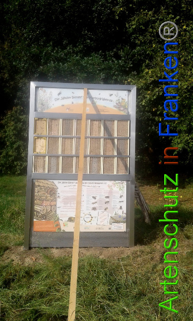 © Artenschutz in Franken® Bild zum Eintrag (1011362-160)