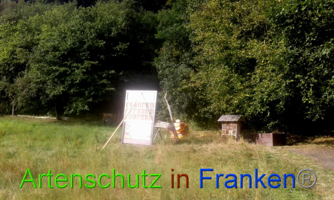 © Artenschutz in Franken® Bild zum Eintrag (1011363-160)