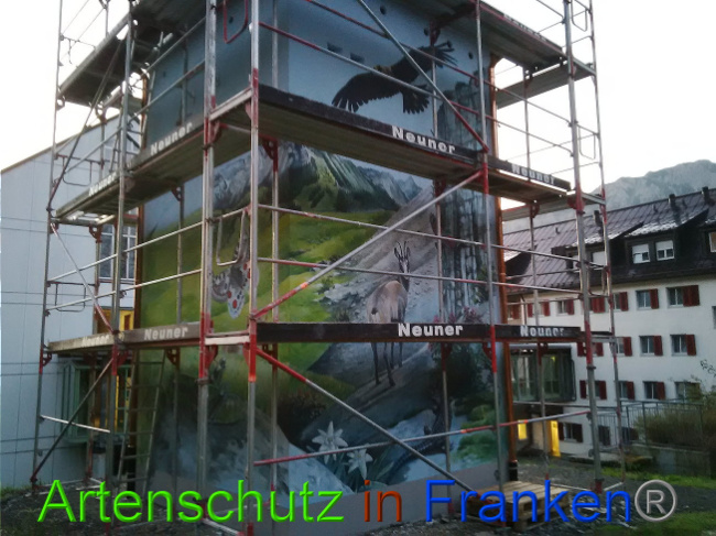 © Artenschutz in Franken® Bild zum Eintrag (1011373-160)