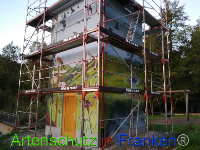 © Artenschutz in Franken® Bild zum Eintrag (1011375-160)