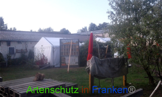 Bild zum Eintrag (1011385-160)