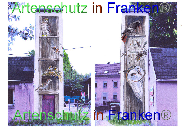Copyright AiF/Horn Bild zum Eintrag (101142-160)