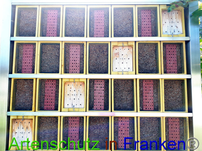 © Artenschutz in Franken® Bild zum Eintrag (1011451-160)