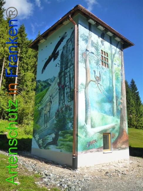 © Artenschutz in Franken® Bild zum Eintrag (1011503-160)