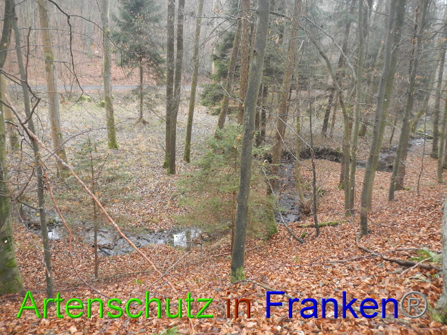 Bild zum Eintrag (1011798-160)