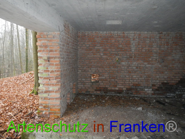 © Artenschutz in Franken® Bild zum Eintrag (1011805-160)