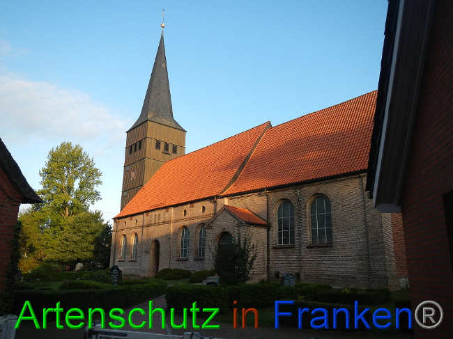 © Artenschutz in Franken® Bild zum Eintrag (1011960-160)