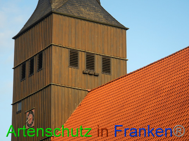© Artenschutz in Franken® Bild zum Eintrag (1011962-160)