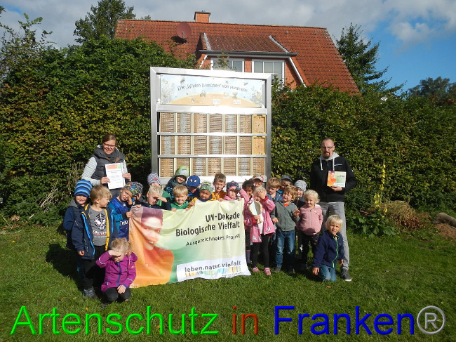© Artenschutz in Franken® Bild zum Eintrag (1011989-160)