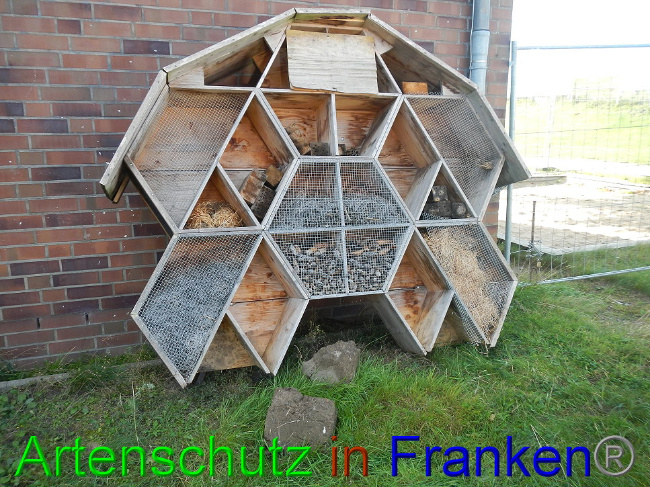 © Artenschutz in Franken® Bild zum Eintrag (1011991-160)