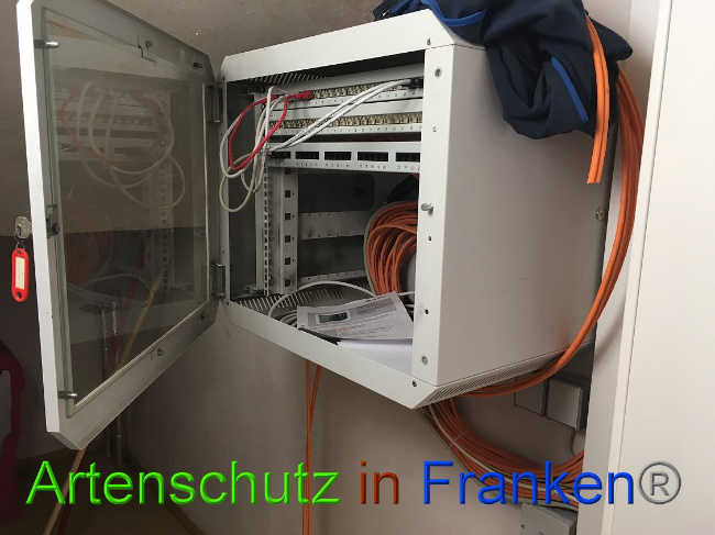 © Artenschutz in Franken® Bild zum Eintrag (1012088-160)
