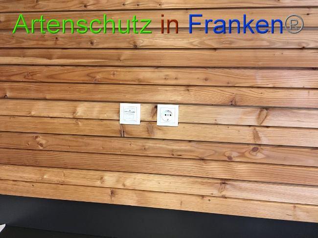 © Artenschutz in Franken® Bild zum Eintrag (1012089-160)
