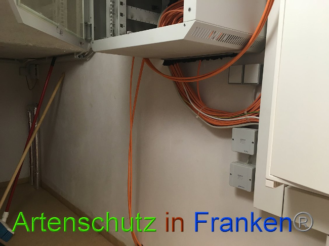 © Artenschutz in Franken® Bild zum Eintrag (1012090-160)