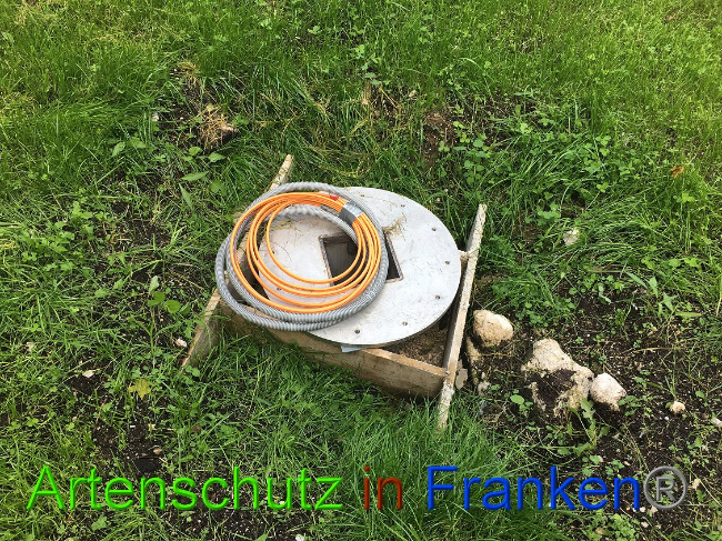 © Artenschutz in Franken® Bild zum Eintrag (1012091-160)