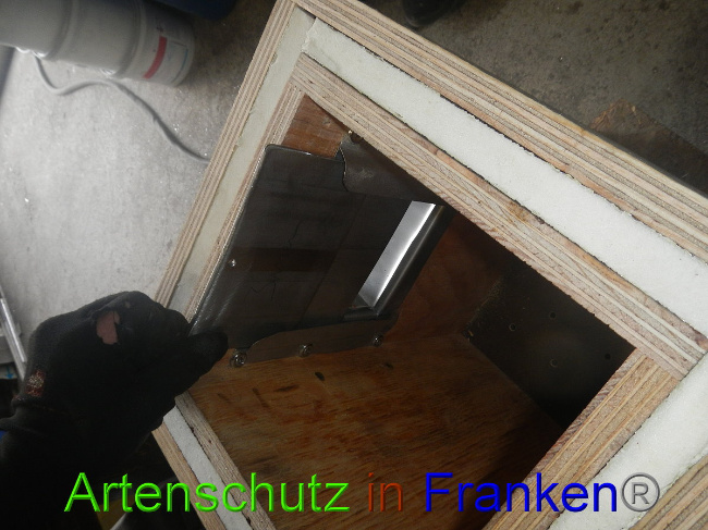 © Artenschutz in Franken® Bild zum Eintrag (1012154-160)