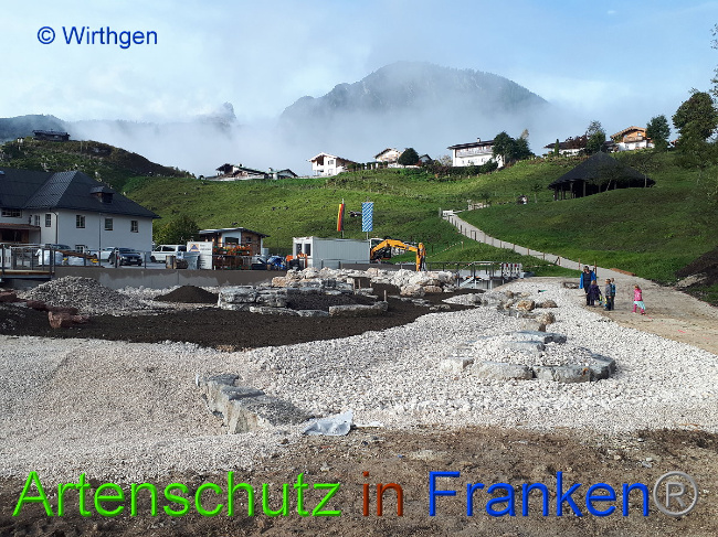© Artenschutz in Franken® Wirthgen Bild zum Eintrag (1012421-160)