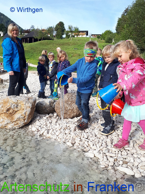 © Artenschutz in Franken® Wirthgen Bild zum Eintrag (1012424-160)